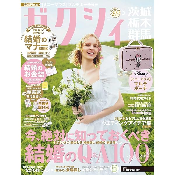 ゼクシィ熊本 2026年 5月号 特別付録 【ミニーマウス】マルチポーチ